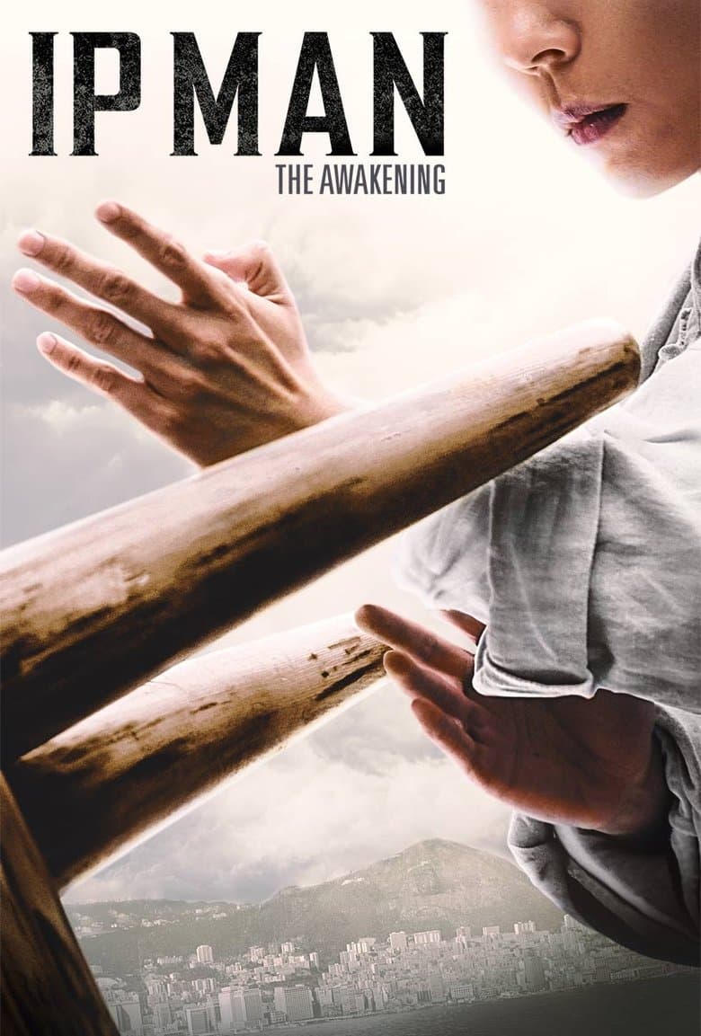 Poster for IP Man: The Awakening (2022)